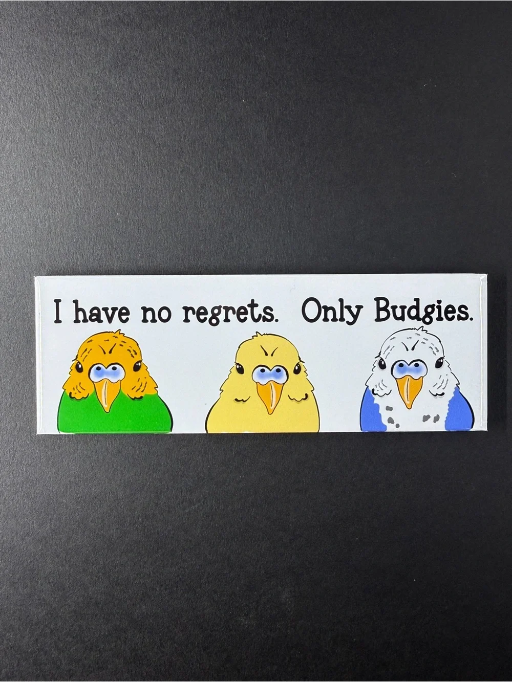I Have No Regrets, Only Budgies Magnet, Handmade & Hand Illustrated 1.5x4.5”